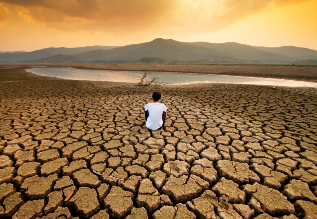 Biólogos debatem impactos das mudanças climáticas na saúde única. Foto: CRBio-01