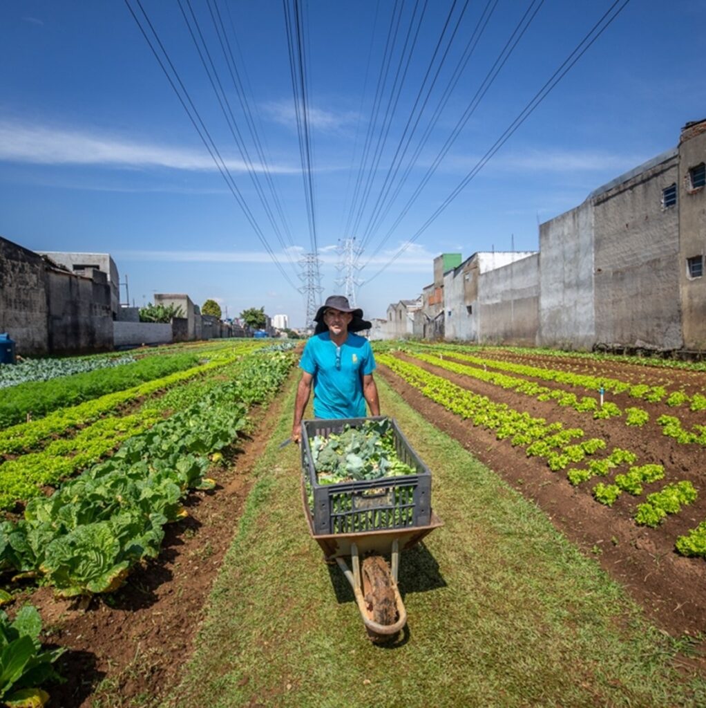 Uso de Terrenos Ociosos para Hortas Comunitárias