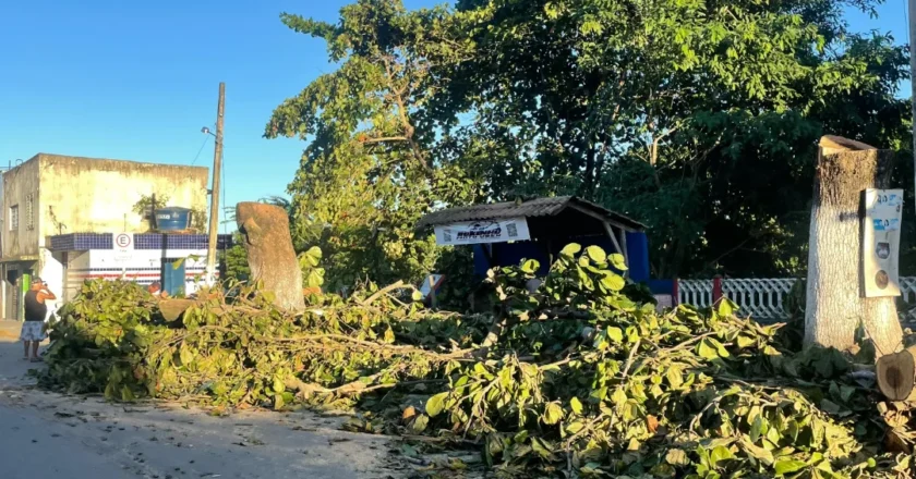 Prefeitura de Escada corta árvores e causa revolta