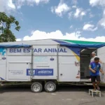 Jaboatão tem colapso na política de proteção animal