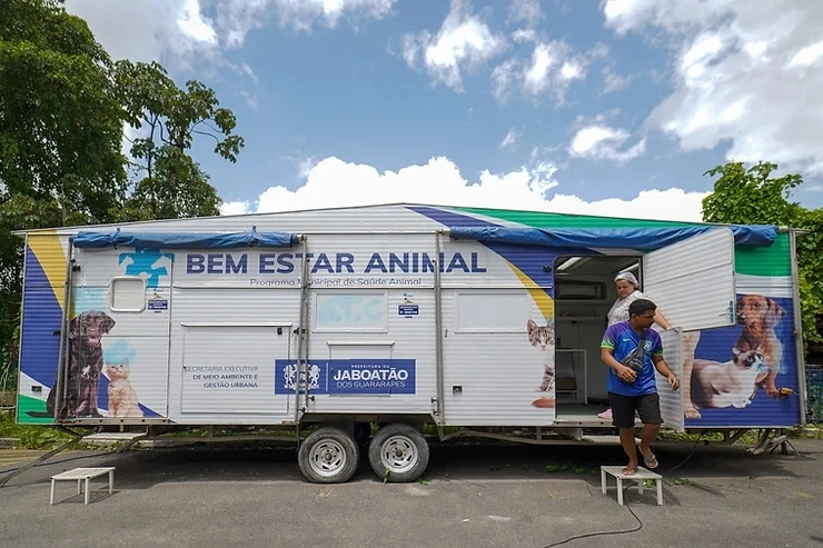 Desde dezembro, animais estão sem castração em Jaboatão; Prefeitura não apresenta plano para resolver o problema