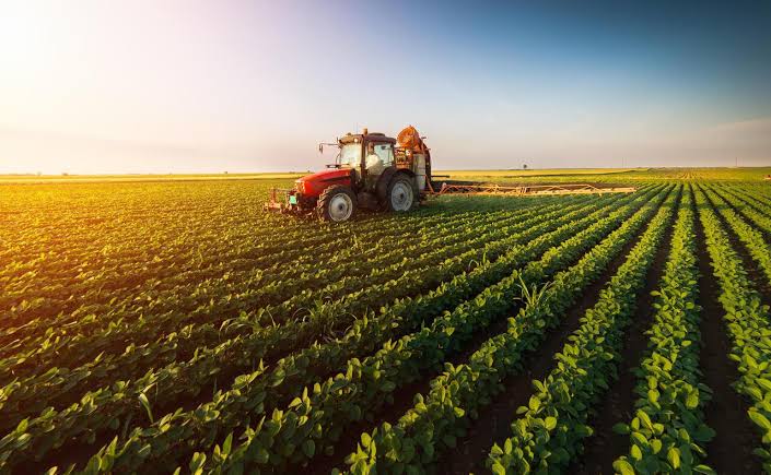 Taxa Bolsonaro pode causar perdas bilionárias ao agronegócio
